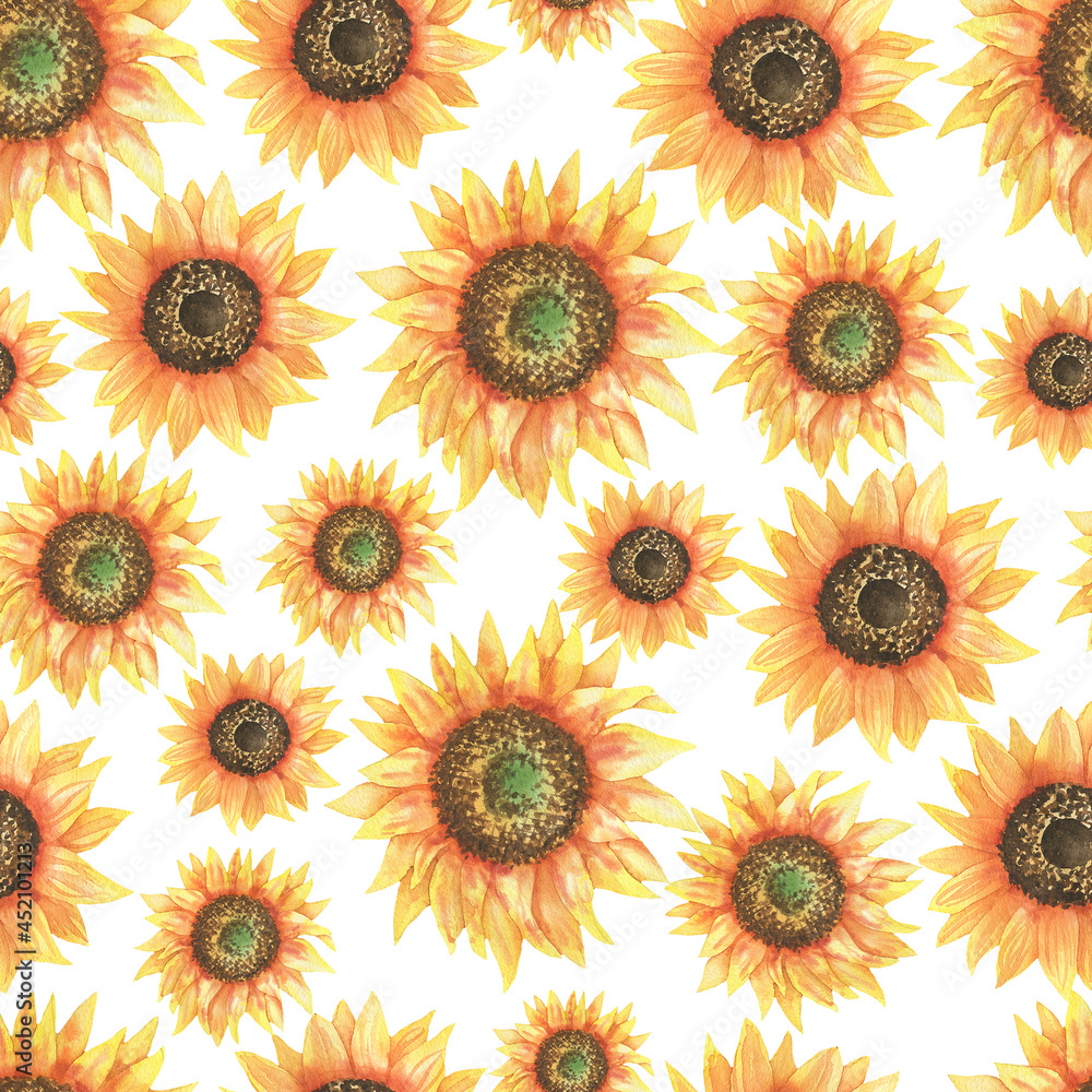Obraz premium Sunflowers pattern
