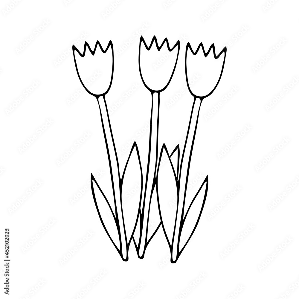 Black Vector illustration of a group of three tulip flowers with leaves isolated on a white background Black Vector illustration of a group of three tulip flowers with leaves isolated on a white background