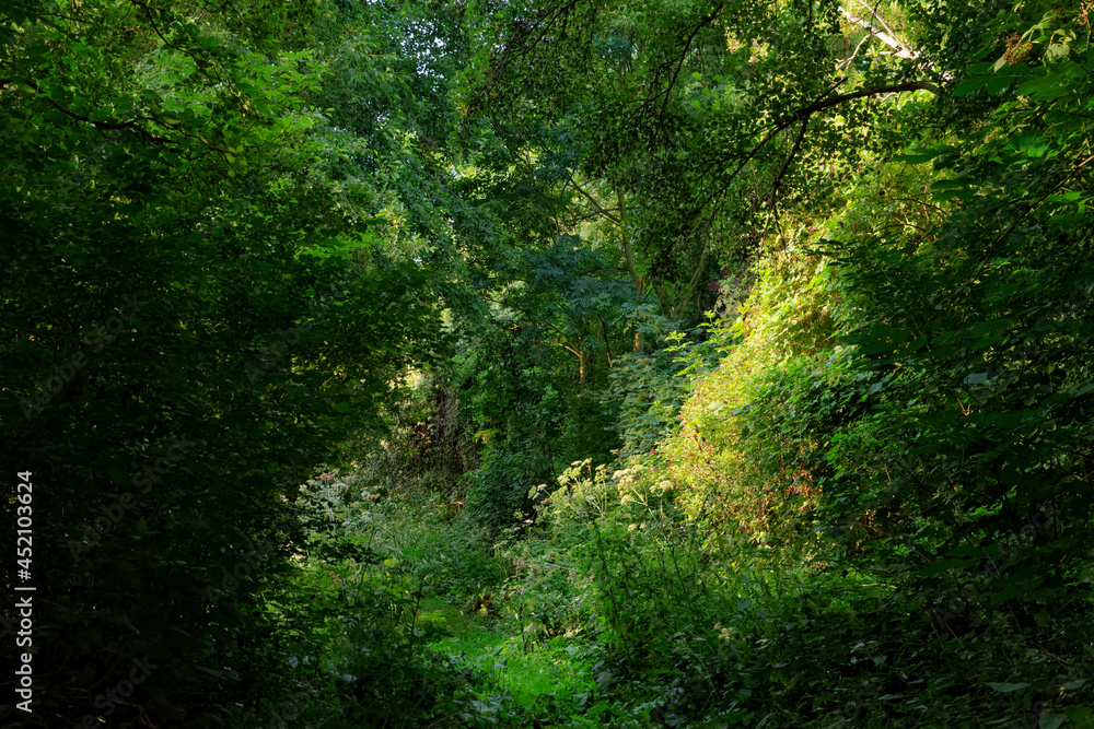 Seiglats Regional Nature Reserve in Île de France country Seiglats Regional Nature Reserve in Île de France country