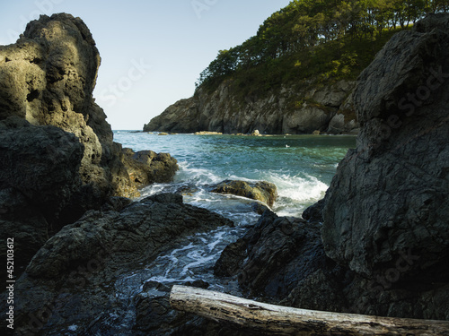 Old tree trunk on the sea cliffs.