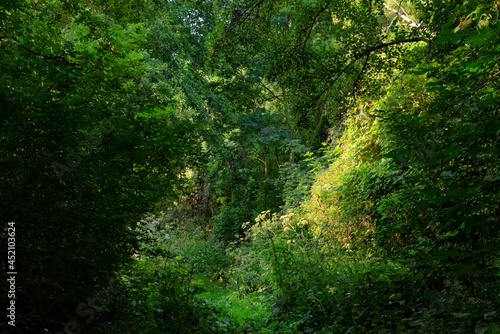 Seiglats Regional Nature Reserve in   le de France country