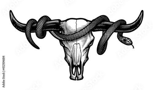 Bull skull and snake. T-shirt print design. Vector illustration.