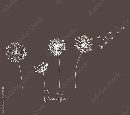 Hand drawn set of white dandelion, dandelion with flying seeds in cute doodle style. Vector illustration for fabric, card design or baby clothings.