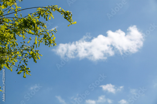 Photos cumulus d'été