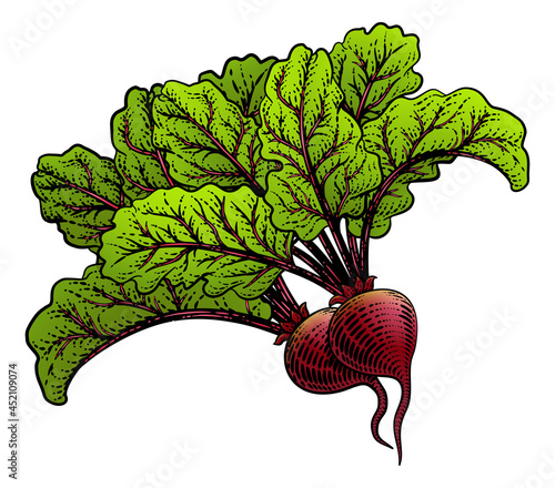 Beets Beetroot Vegetable Woodcut Illustration