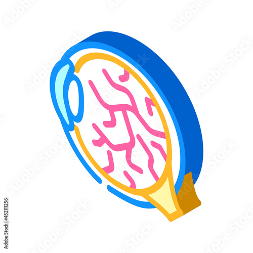 inflammation of eye ophthalmology isometric icon vector. inflammation of eye ophthalmology sign. isolated symbol illustration