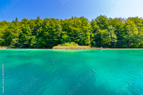 Plitvice lakes, view of forest and plants from the lake.