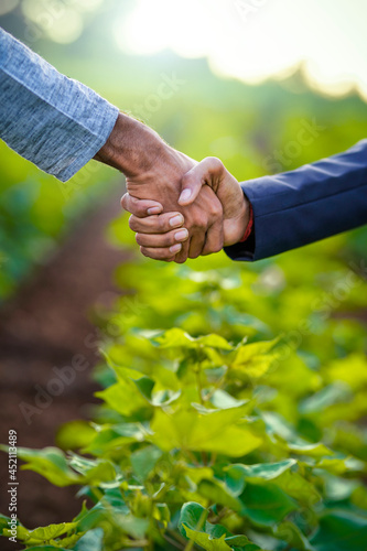 Rural Indian farmer and bank executive shaking hands in cotton field