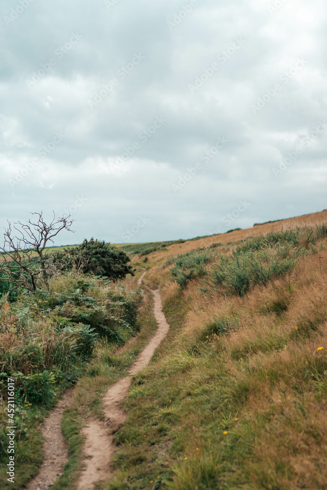 path in the country