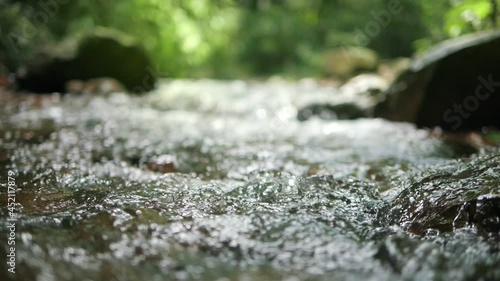 Wild mountain river flowing through stone boulders, Water clear stream river flowing in the deep forest, Slow motion photo