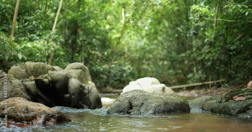 Wild mountain river flowing through stone boulders, Water clear stream river flowing in the deep forest Wild mountain river flowing through stone boulders, Water clear stream river flowing in the deep forest
