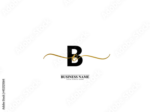 Letter BO Logo, creative bo ob signature logo for wedding, fashion, apparel and clothing brand or any business photo