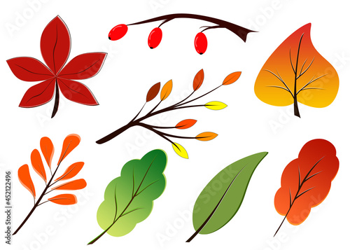 Autumn leaves. Yellow autumn garden leaf  red autumn leaf and fallen dry leaves. Botanical forest plants or September foliage of the October tree. Set of flat isolated vector symbols