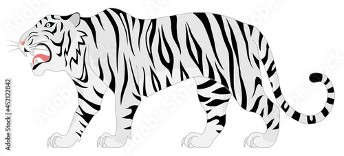 ホワイトタイガー　白背景