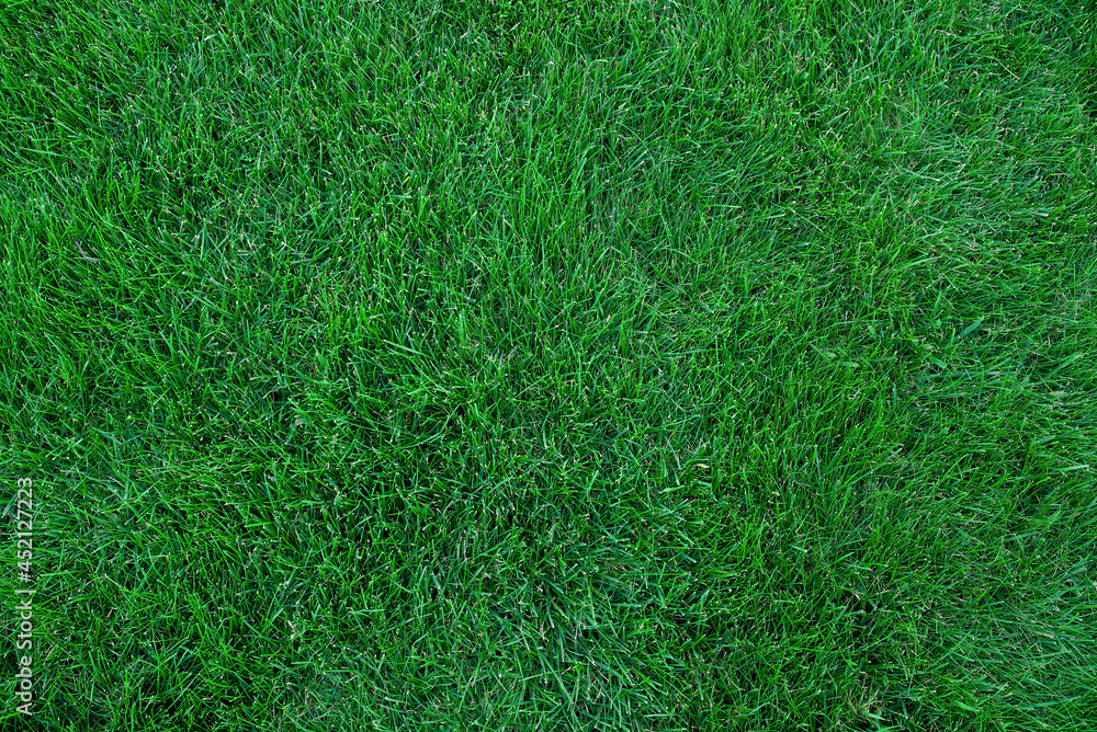 Backdrop of thick and bright green grass. Lawn grass texture background Backdrop of thick and bright green grass. Lawn grass texture background