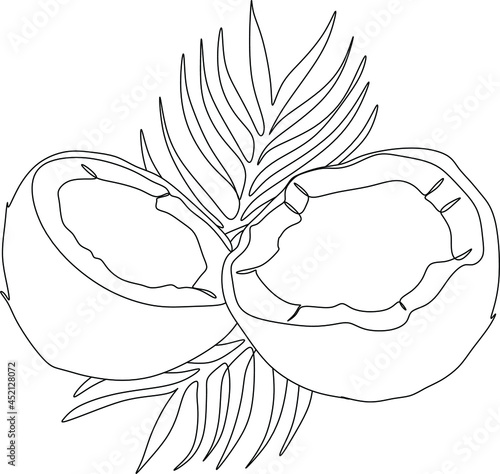 Coconuts with leavesline art