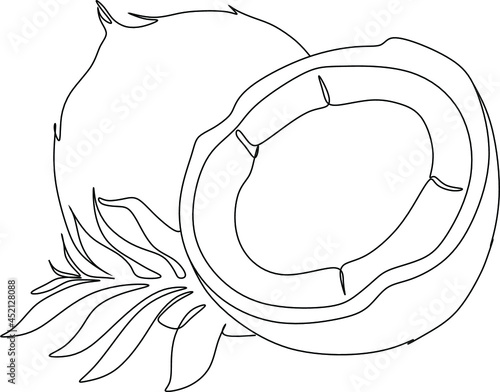 Coconuts with leavesline art
