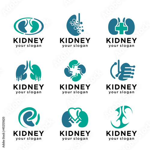 set of Kidney Care. vector illustration design logo template symbol. Kidney Treatment icon