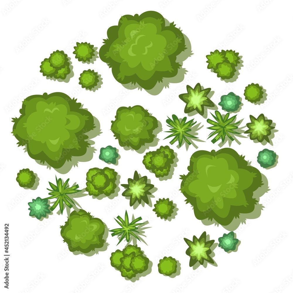 Small forest with height. Park with trees. View from above. Plant landscape. Island. Green wildlife. Top view. Background illustration in cartoon style. Isolated Vector