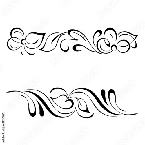 decorative oblong design with floral elements and vignettes. graphic decor