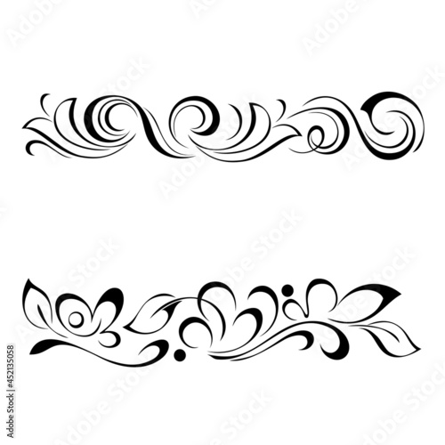 Fotografia decorative oblong design with floral elements and vignettes