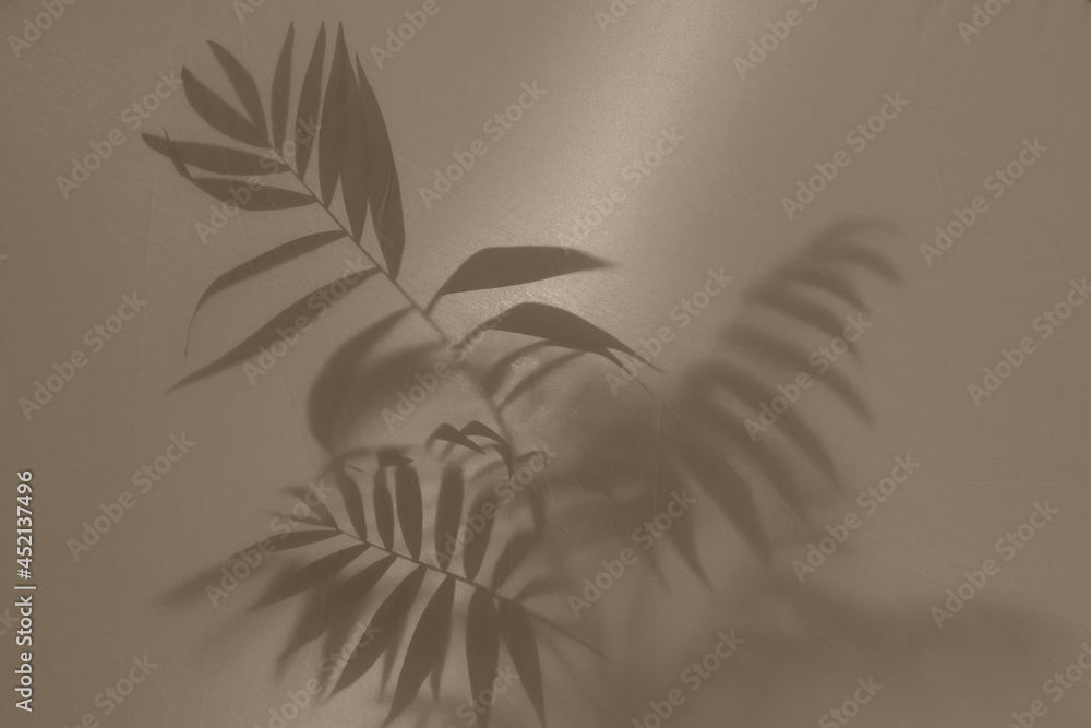 blurred picture with fog effect of potted leaves silhouettes behind frosted glass with backlight
blurred picture with fog effect of potted leaves silhouettes behind frosted glass with backlight