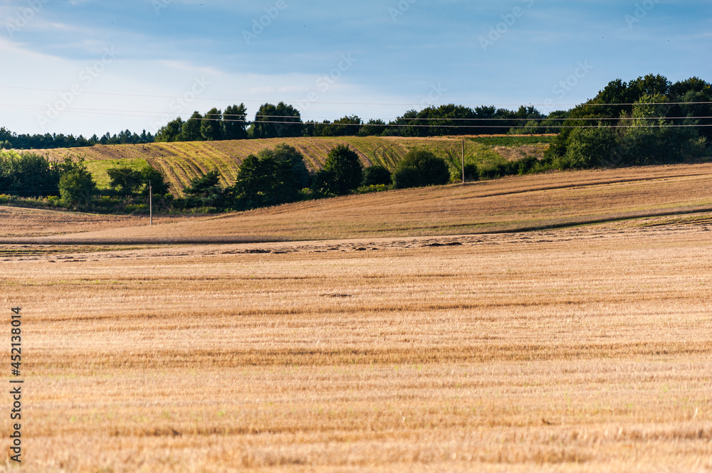 Agriculture field on early autumn