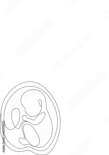 Baby embryo line art line art