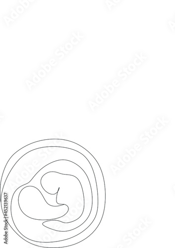 Baby embryo line art line art