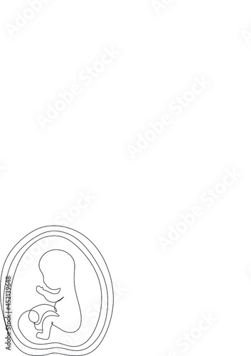 Baby embryo line art line art
