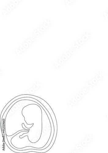 Baby embryo line art line art