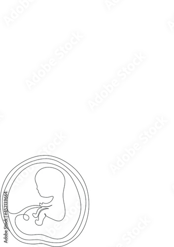 Baby embryo line art