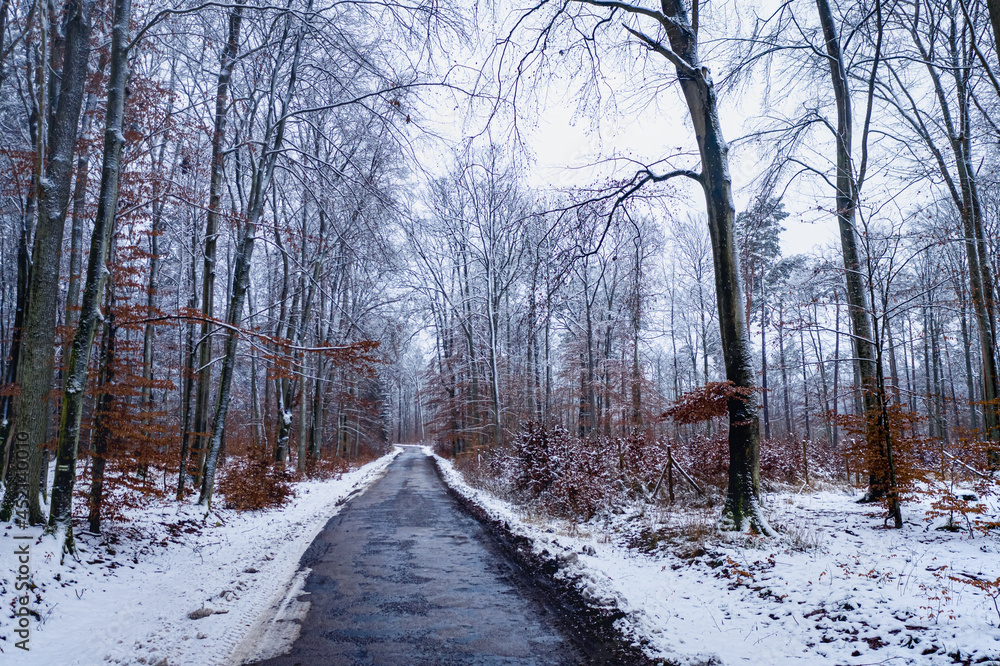 Snowy black asphalt road in winter forest. Aerial view, Poland Snowy black asphalt road in winter forest. Aerial view, Poland