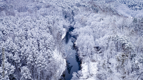 Aerial view of white snowy forest and river in winter