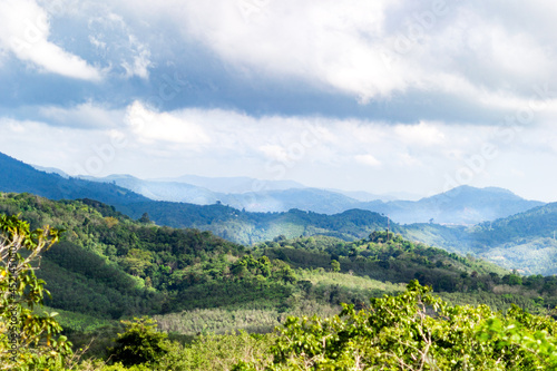 Thailand, Phuket, Landschaft, Hügel, Berge, Meer, grüner Wald, Fauna