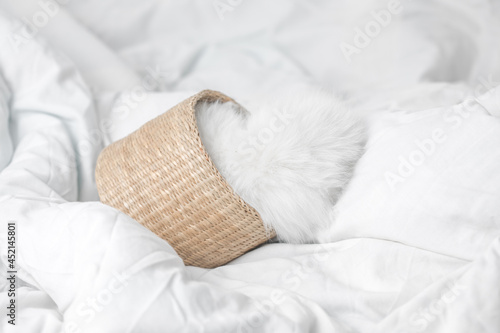 small white domestic kitten in basket lying on bed with white blanket funny pose. cute adorable pet cat