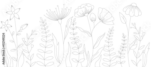 Flowers background; flowers sketch for coloring; black and white flowers; flowers minimalism