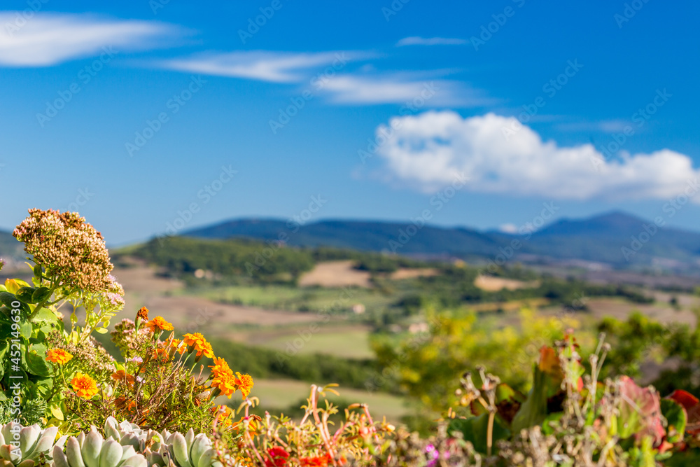 Shallow selective focus on blooming potted flowers at the town of Pienza, Tuscany, Italy, warm October autumn day Shallow selective focus on blooming potted flowers at the town of Pienza, Tuscany, Italy, warm October autumn day