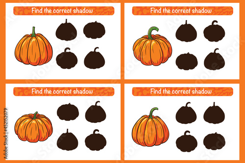 Find correct Pumpkin shadow educational game for kids. Shadow matching activity for children. Preschool puzzle. Educational worksheet. Find correct silhouette game with ripe pumpkins. Premium Vector