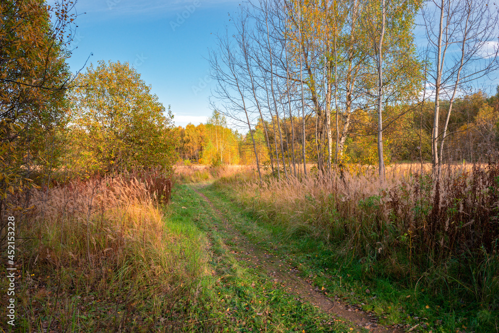 Fototapeta premium Rural pathway in the autumn forest