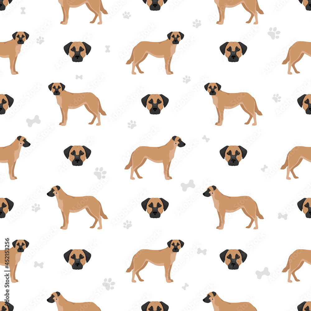Obraz premium Chinook dog seamless pattern. Different poses, coat colors set