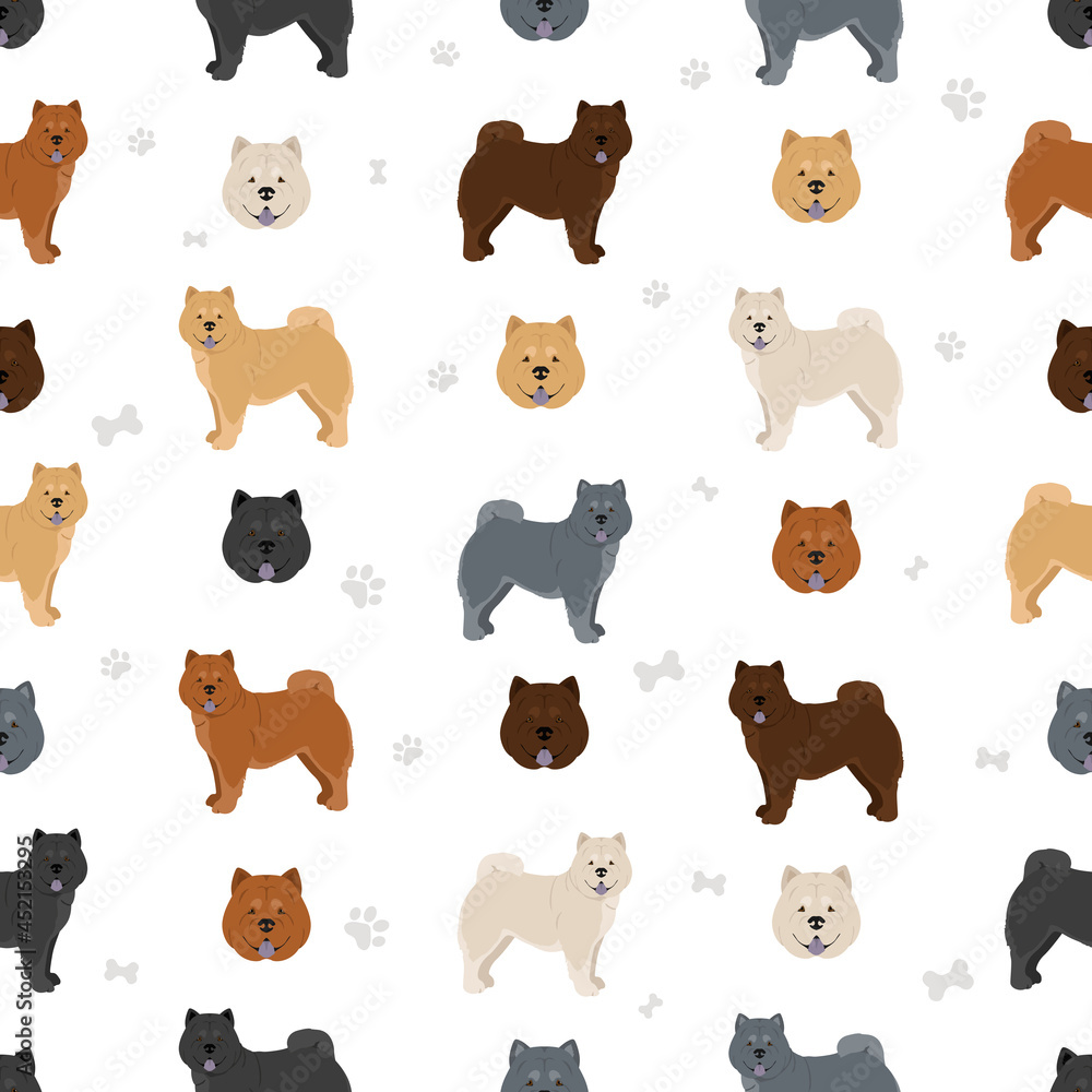 Obraz premium Chow chow shorthaired variety seamless pattern. Different poses, coat colors set