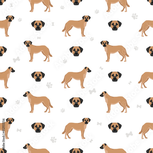 Chinook dog seamless pattern. Different poses  coat colors set