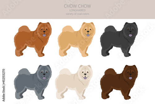 Chow chow longhaired variety clipart. Different poses, coat colors set