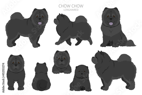 Chow chow longhaired variety clipart. Different poses, coat colors set