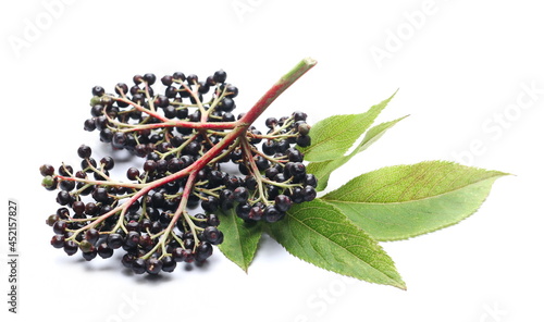 Elderberries, elder berries pile with green leaf, isolated on white background