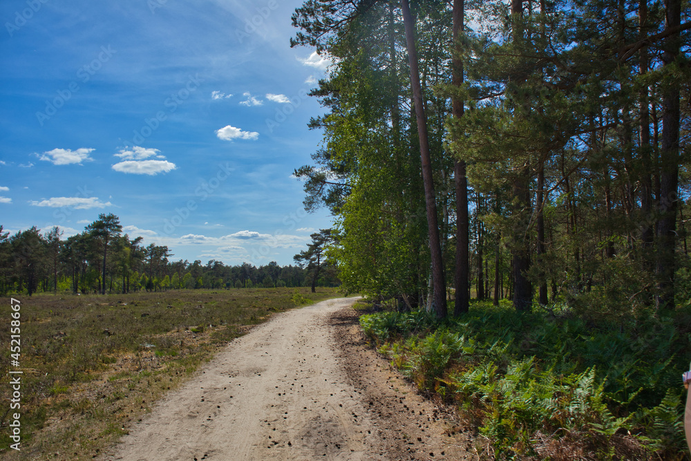 Wanderweg Wanderweg