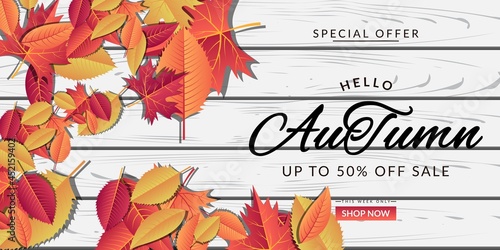 Autumn sale background layout design decorated with wooden plank and colorful leaves. It is suitable for banner, poster, flyer, advertising, etc