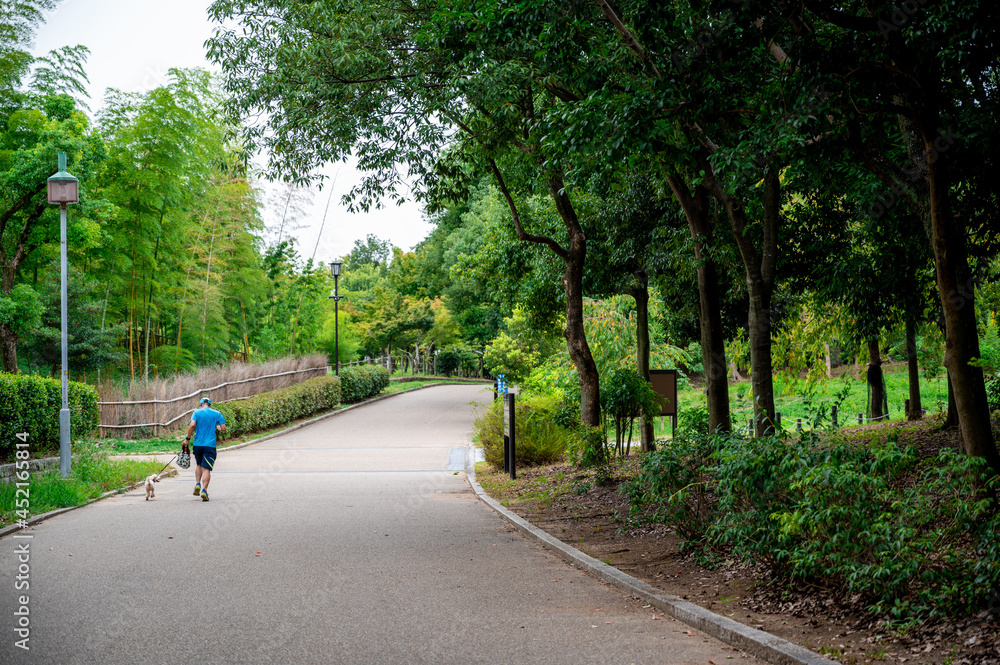 Fototapeta premium 大仙公園-散歩-