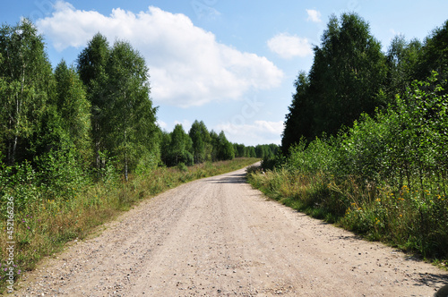 Dirt road to the forest. Panorama of a rural road. Summer day in the forest.
